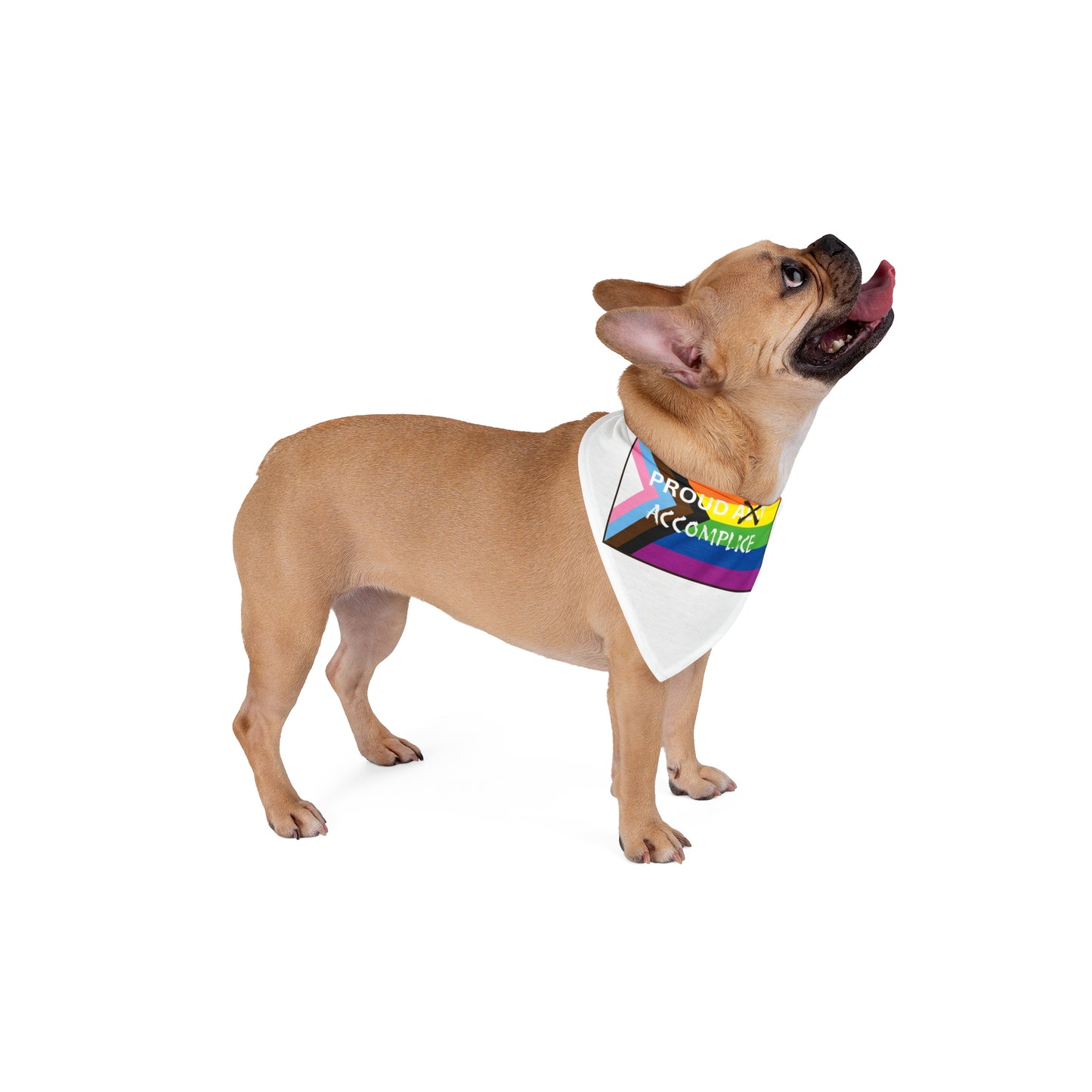Pride Pet Bandana, Proud Accomplice Dog Scarf, LGBTQ+ Pet Accessory, Rainbow Doggy Bandana, Pride Month Pet Gear